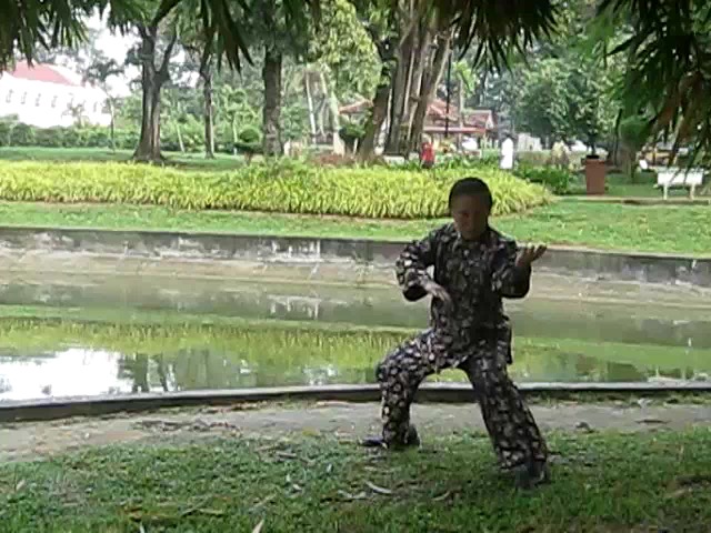 Shaolin 72 Chin-Na Techniques 2015